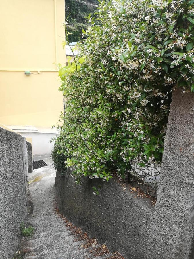 Affittacamere Le Oche Riomaggiore Exteriör bild